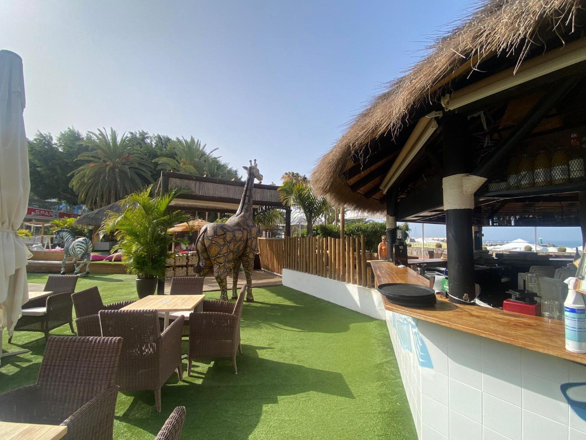 New Renovated Family Home Above Swimming Pool Puerto Rico  Dış mekan fotoğraf