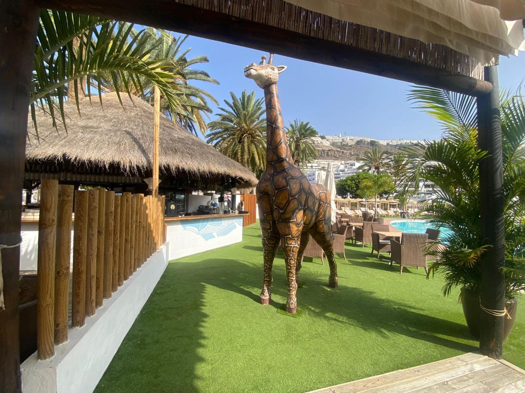 New Renovated Family Home Above Swimming Pool Puerto Rico  Dış mekan fotoğraf